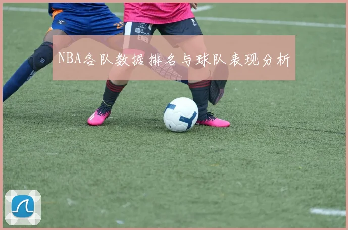 NBA各队数据排名与球队表现分析