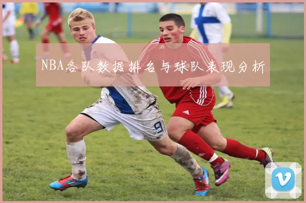 NBA各队数据排名与球队表现分析
