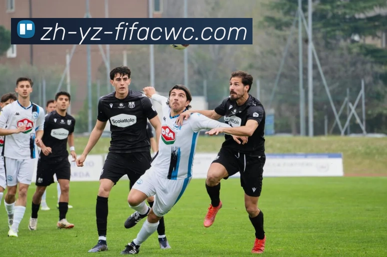 世界杯在线观看发展历程